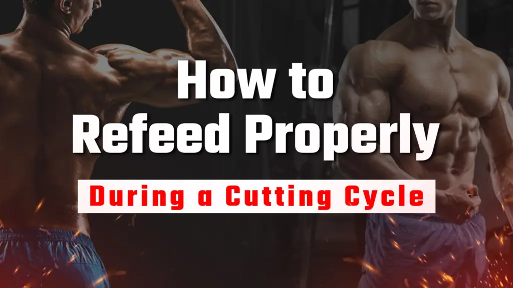 How to Refeed Properly During a Cutting Cycle
