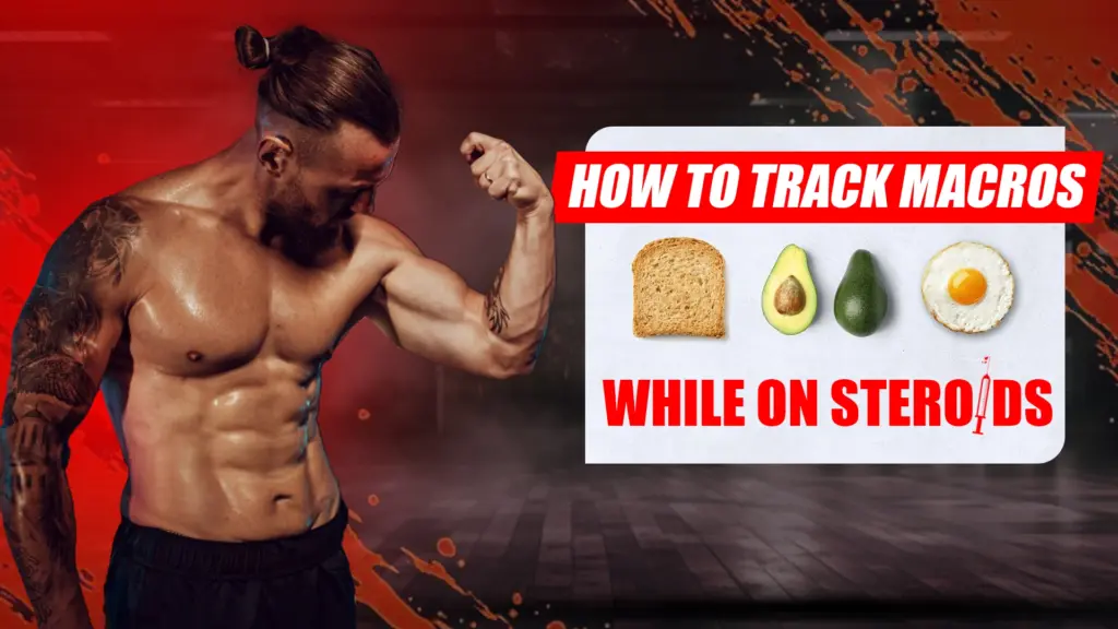 Tracking protein, carbohydrates, and fats to optimize muscle growth and performance while using anabolic steroids