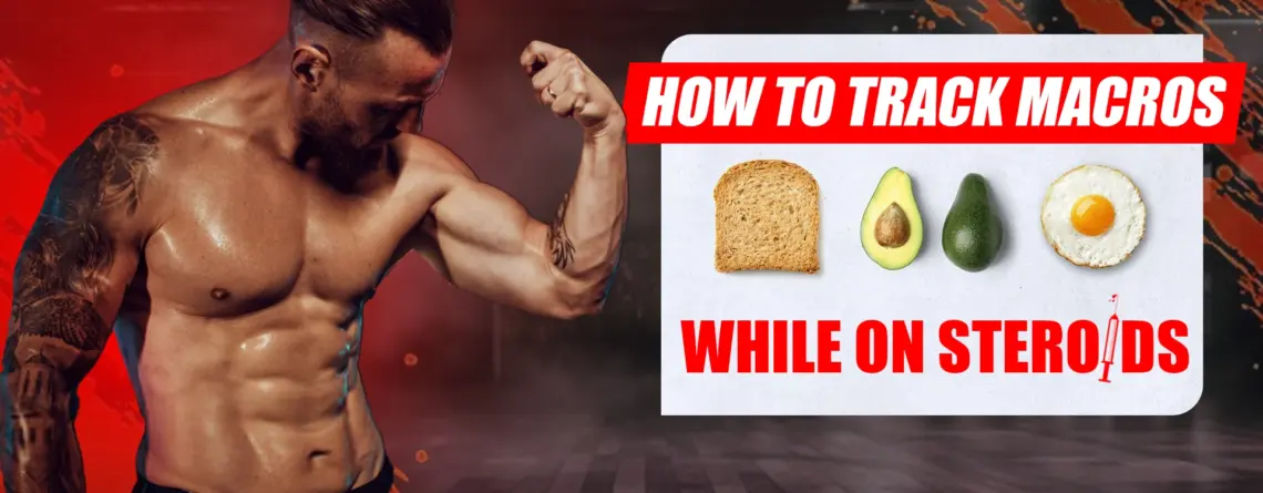 Tracking protein, carbohydrates, and fats to optimize muscle growth and performance while using anabolic steroids