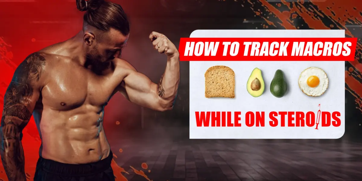 Tracking protein, carbohydrates, and fats to optimize muscle growth and performance while using anabolic steroids