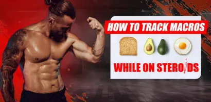 Tracking protein, carbohydrates, and fats to optimize muscle growth and performance while using anabolic steroids