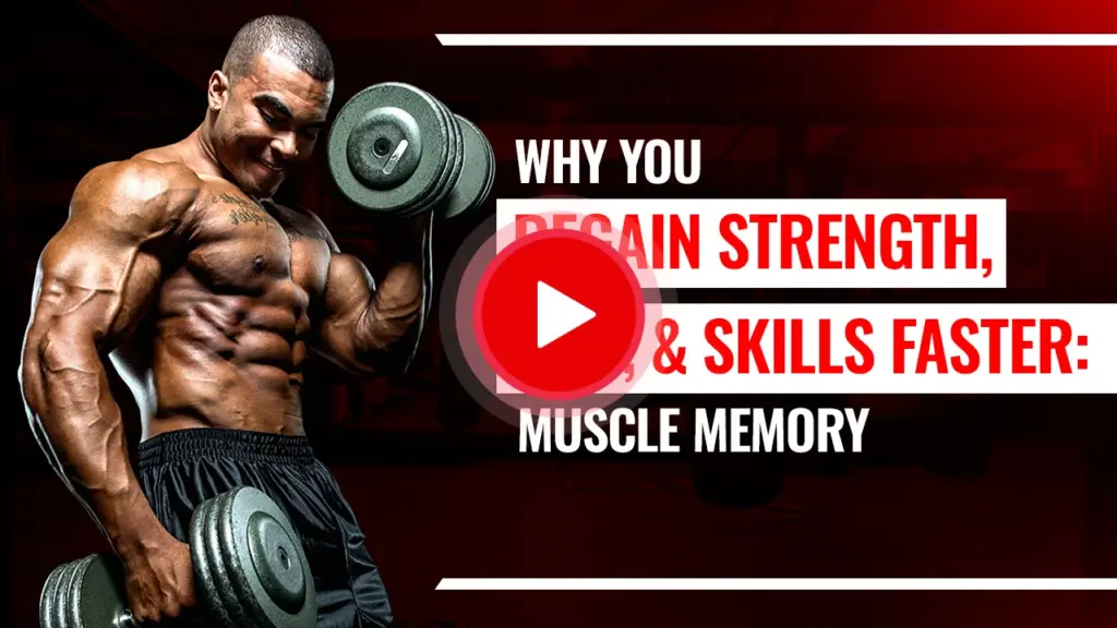Video explaining how muscle memory helps you regain strength, size, and skills faster after training breaks.