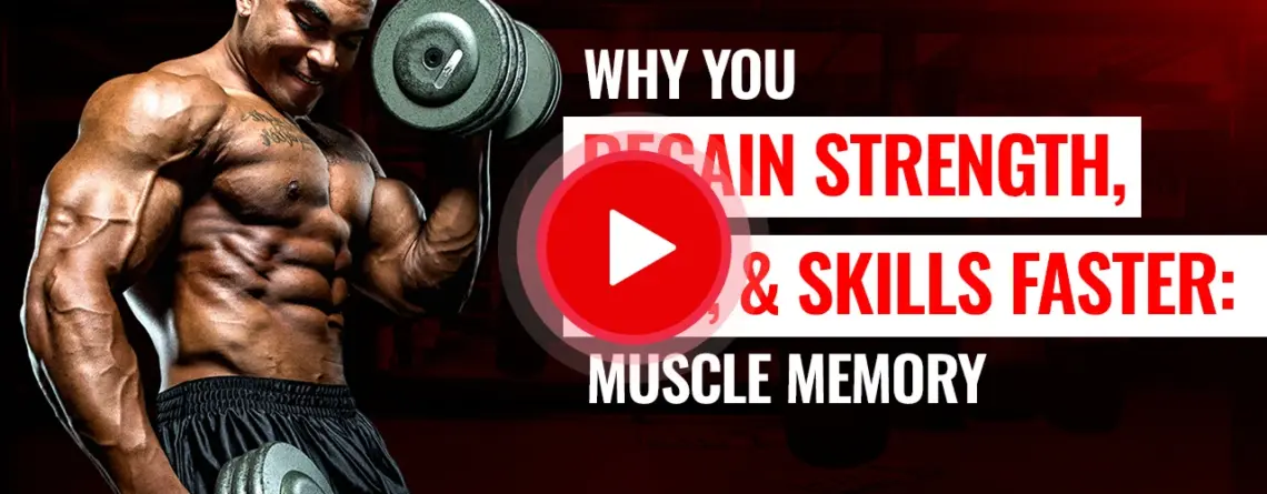 Video explaining how muscle memory helps you regain strength, size, and skills faster after training breaks.