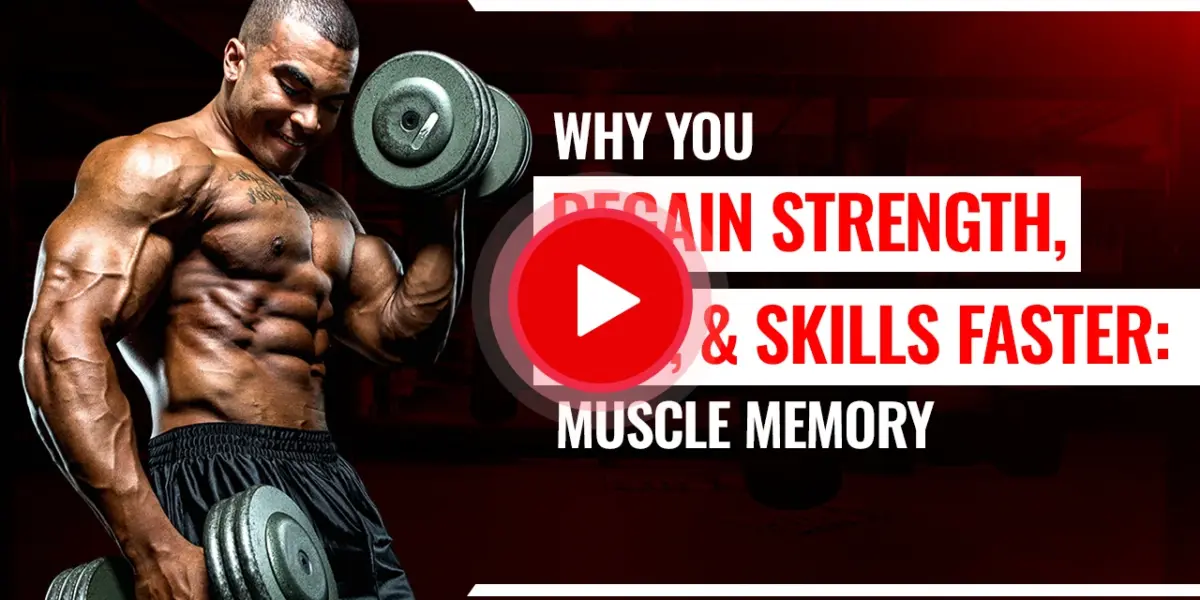 Video explaining how muscle memory helps you regain strength, size, and skills faster after training breaks.