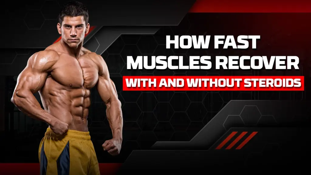 How Fast Muscles Recover With and Without Steroids