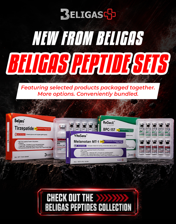 beligas Design Mobile version copy